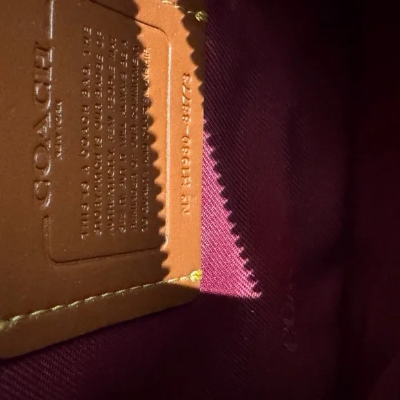 Coach REXY 🦖 rainbow carriage and Tan sling bag with rainbow 🌈 Strap - Picture 8 of 12